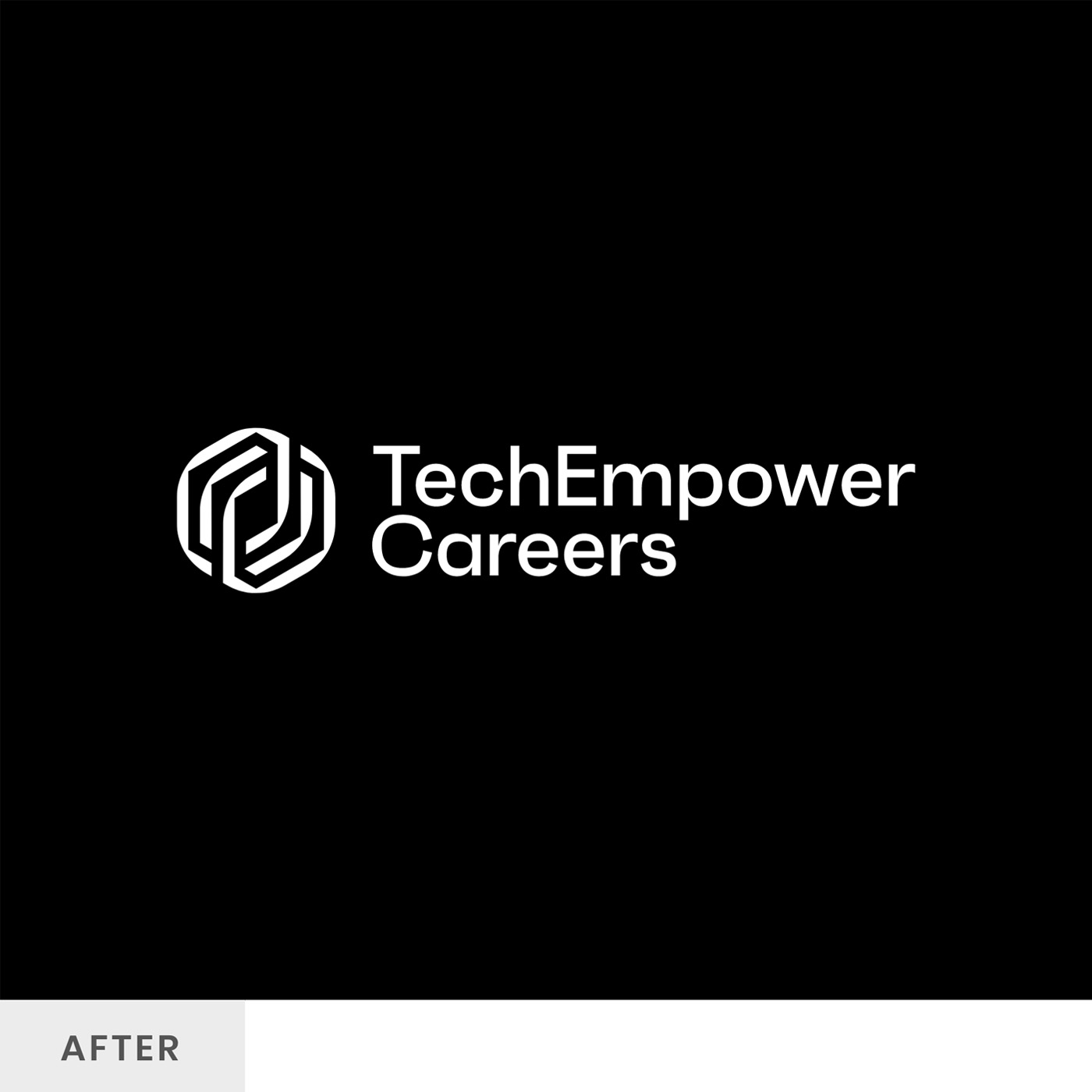 TechEmpower Careers after logo